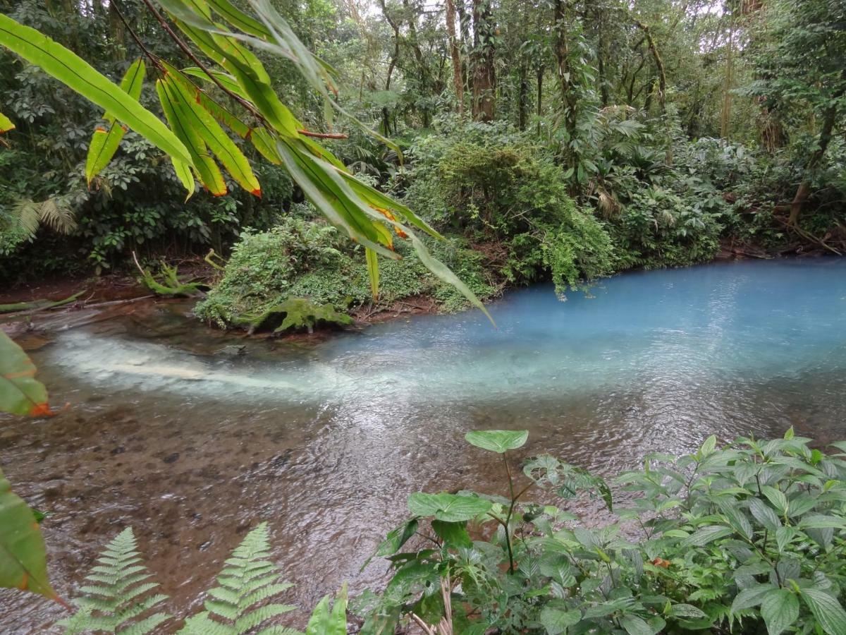 Hotel Rio Celeste Finca L´ Etoile Celeste El Achiote Eksteriør billede