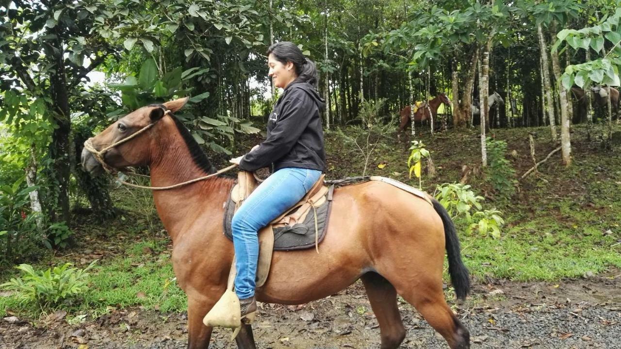 Hotel Rio Celeste Finca L´ Etoile Celeste El Achiote Eksteriør billede